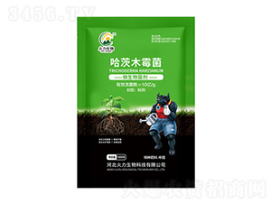 ����ľù��-��������