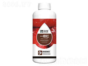 һ���t-��ֲ-���w�~��