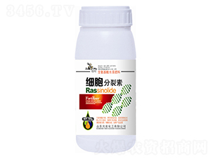 ��(x��)��������-�欔-�ʰl(f��)���� 