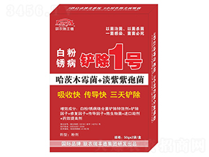 �׷��P���P��1̖-(li��n)�r(n��ng)���S��