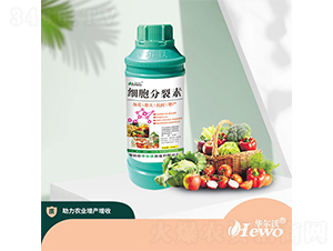 ��(x��)��������-�A���� 