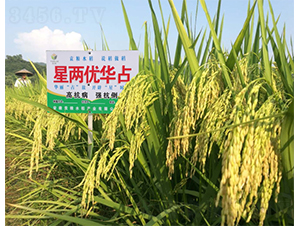 �ǃɃ�(y��u)�Aռ-ˮ���N��-Ԭ�Z