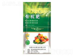 �ЙC��-�d��ʘI(y��)