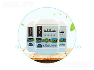 ������������������������-��������