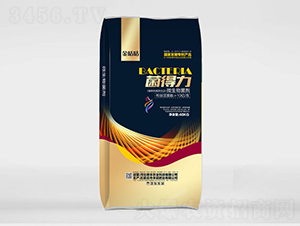 10�|���΢�������-������-�S�T���r(n��ng)