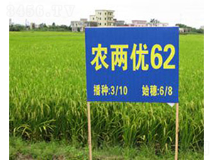 �r(n��ng)�Ƀ�(y��u)62-ˮ���N��-�Aï�߿�