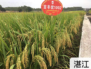 ���S��(y��u)1002-ˮ���N��-�Aï�߿�