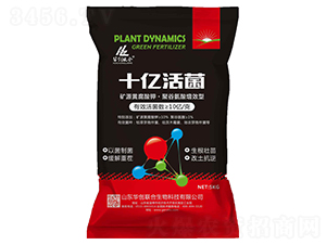 ʮ�|���-�A��(chu��ng)(li��n)��