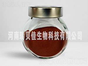 �����������F-��ؐ������