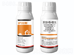 22%���ѡ��������xС���N��-�o��˹-�Ƶ��r(n��ng)�I(y��)