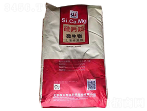 ΢���������ޏ�(f��)��-���}�V-�����r(n��ng)�I(y��)