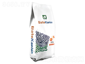 ����ؐ��-�W��ɳ