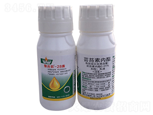 �|̦�؃�������-ԥ���r-���r