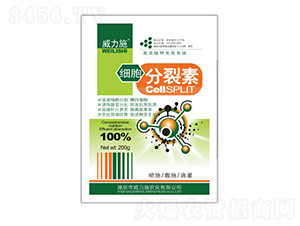 200g��(x��)��������-����ʩ 