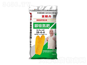 ���@����28-6-6-�S�׵��ʘI(y��)