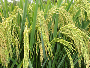 ���Ƀ�(y��u)361-ˮ���N��-ϣ���N�I(y��)