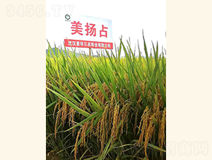 ���Pռ-ˮ���N��-���A���r(n��ng)