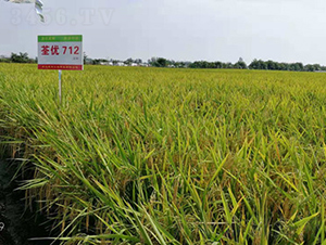 ����(y��u)712-ˮ���N��-���A���r(n��ng)