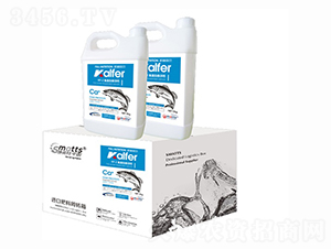 KF-2�~���בҸ��}���䣩-�P�ַƠ�