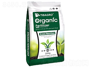 ̼�ƌ�-���Ÿ��_-����̩��