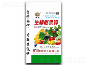 ��������-¡���ʘI(y��)