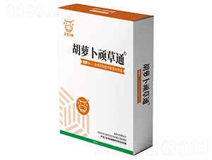 ���}���B��ͨ-���A����