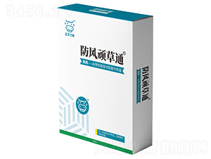 ���L�B��ͨ-���A����