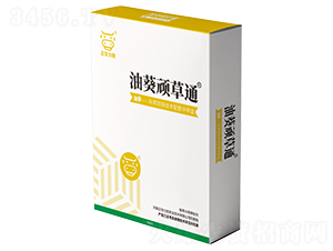 �Ϳ��B��ͨ-���A����