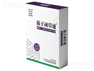 �����B��ͨ-���A����