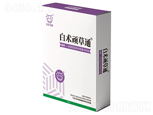 ���g(sh��)�B��ͨ-���A����