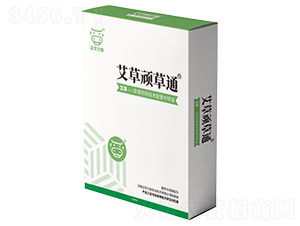 �����B��ͨ-���A����