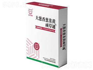 ���[�����[�����S�B��ͨ-���A����