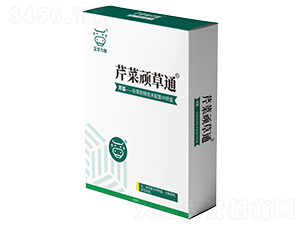 �۲��B��ͨ-���A����