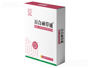 �ٺ��B��ͨ-���A����