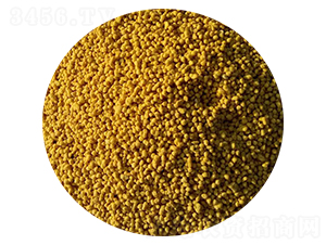 �����w�����Sɫ��-���M�}-�S����