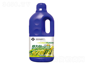 Ħ����ˮ������׷��-������