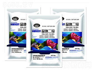 ���w���@-�ֵϾ�