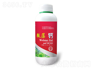 ΢���}-������