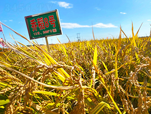 �̵�8̖-ˮ���N��-���ϷN�I(y��)