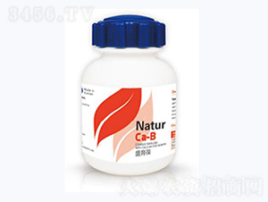 ʢ����-�{��