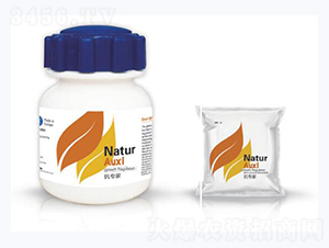 ������-�{��