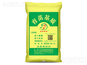 Ư��������|(zh��)-�����r(n��ng)�I(y��)