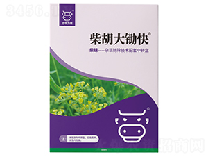 ������z��-���A����