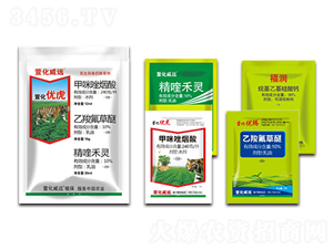 ��������ͨ���ͳ��݄�-�滯��(y��u)��-�滯���h(yu��n)