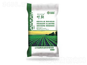 ���������ޏ�(f��)��-�{(l��n)��