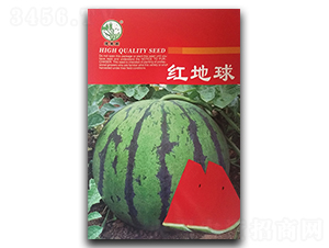 �t����-���ϷN��-�P�˷N�I(y��)