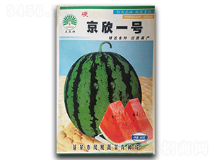 ����һ̖-���ϷN��-�P�˷N�I(y��)