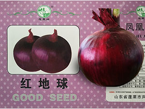 �t����-���[�N��-�P�˷N�I(y��)