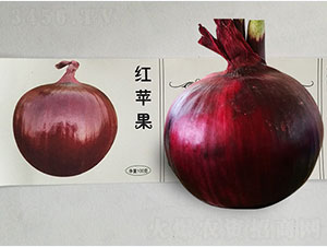 �L(zh��ng)���ռt�O��-���[�N��-�P�˷N�I(y��)