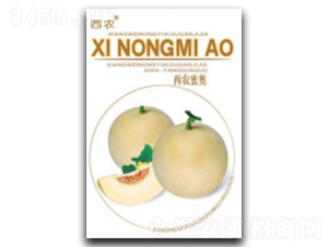 �ۊW-��ϷN��-�ؼt�N�I(y��)